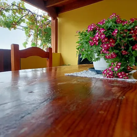 Vakantiehuis Casa Tajonaje *